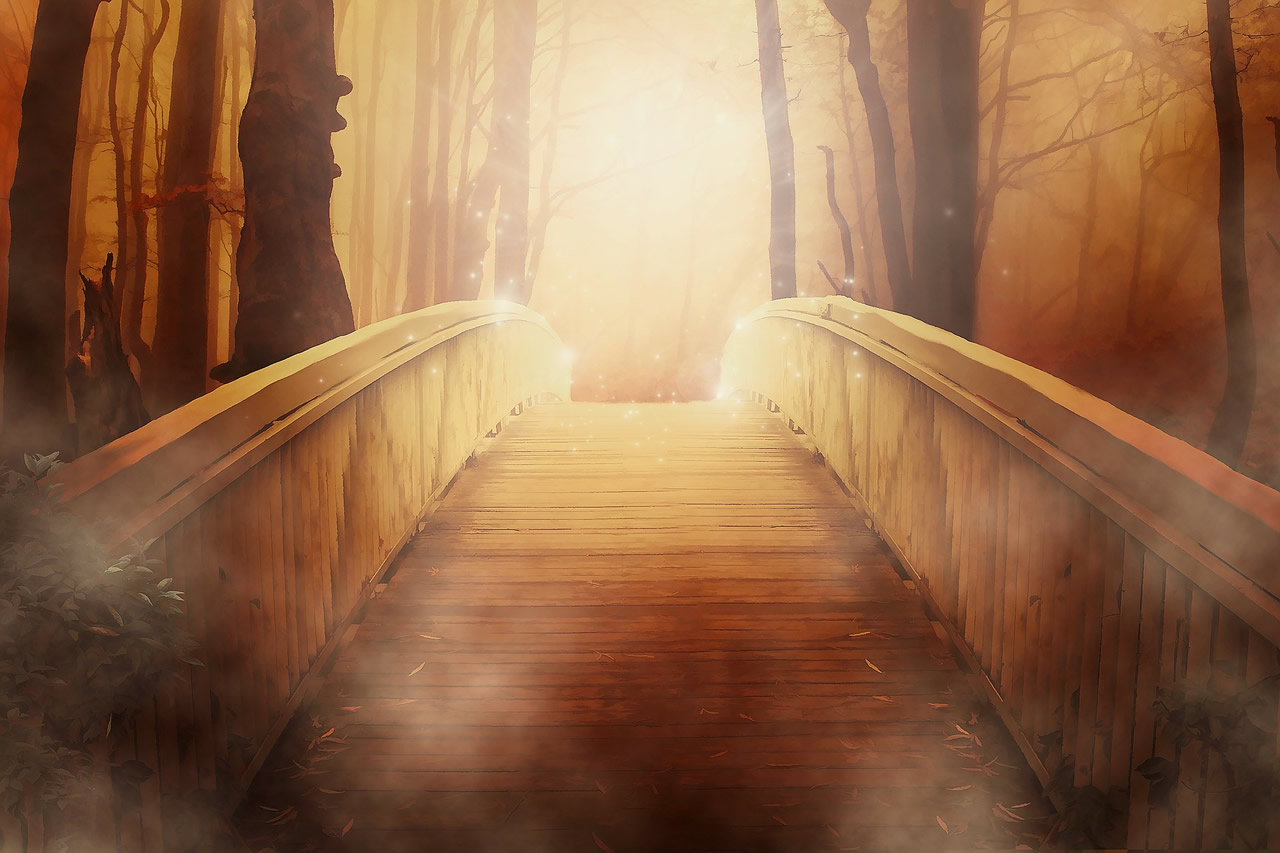 bridge-19513_1920